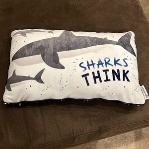 Fun pillow